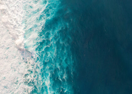 Sign up for my newsletter